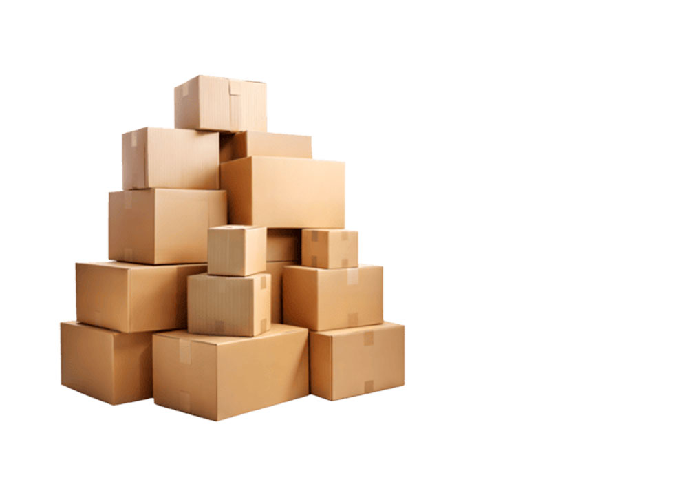 magno cajas