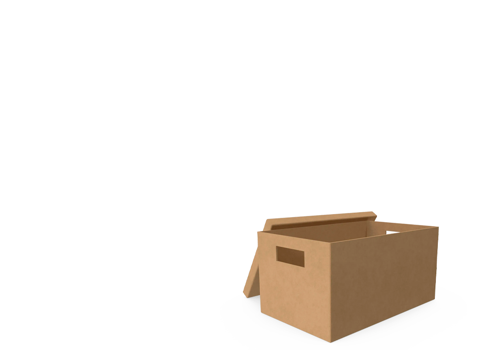 magno cajas